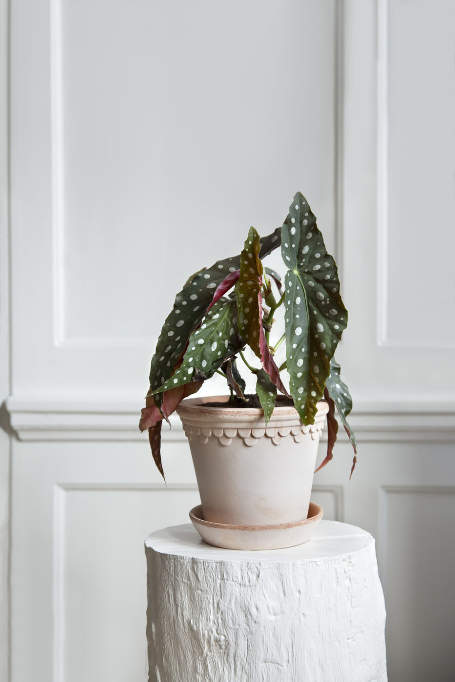 Bergs Potter - Kruka Copenhagen Rosa - Bild 2