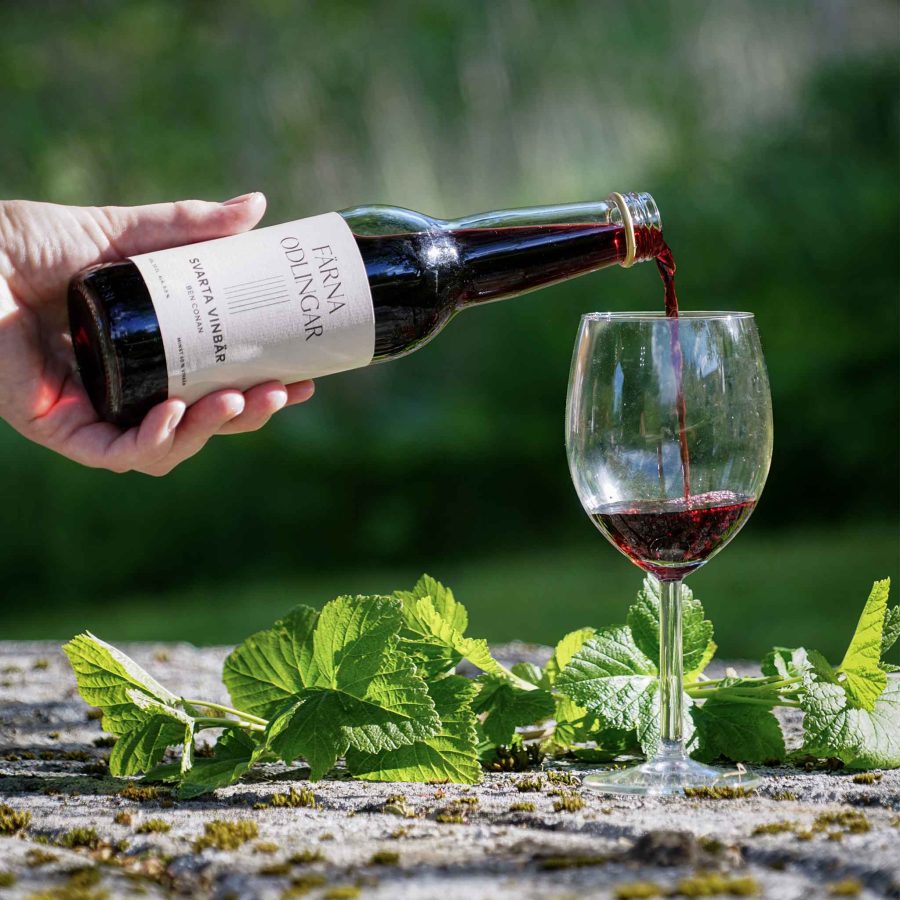 Färna Odlingar - Svarta vinbär Stilla 33cl - Bild 2