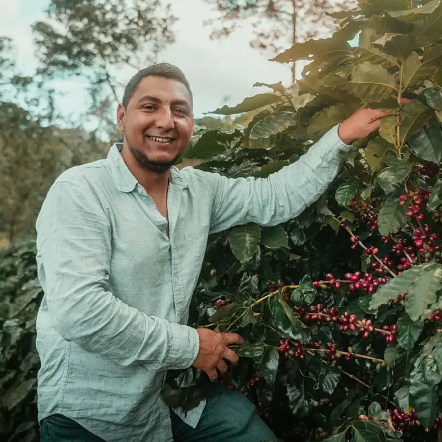 Gringo - Honduras Cascaritas White Honey 250g - Bild 2