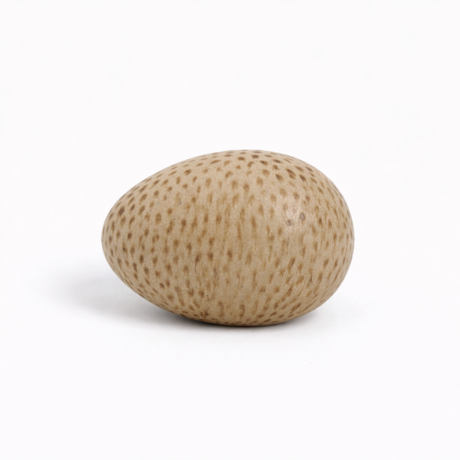 Paradisverkstaden - Ägg Mini Prick Natur/Brun