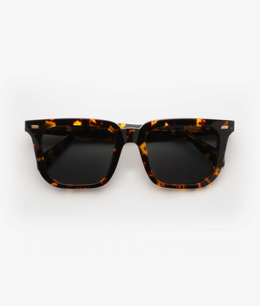 Gast - Solglasögon Certo Havana Flame
