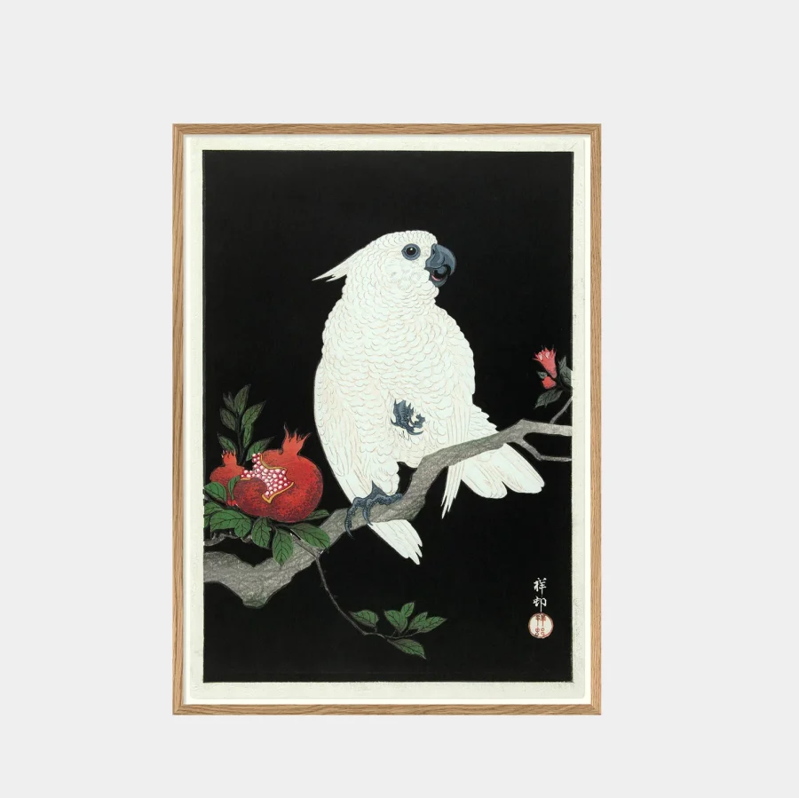 The Dybdahl Co - Cockatoo & pomegranate 70 x 100