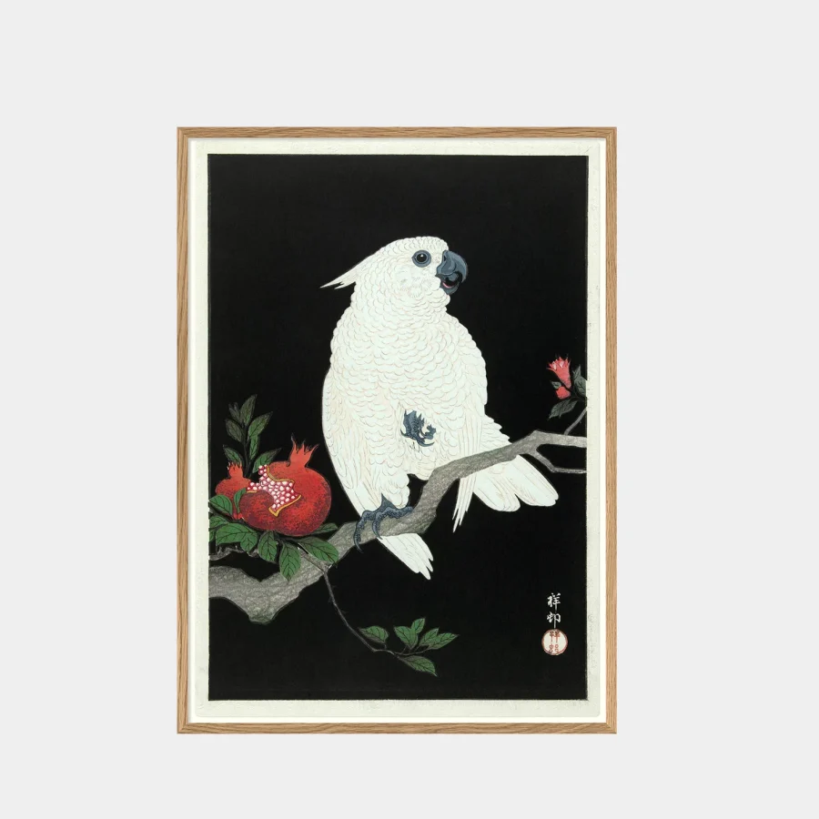 The Dybdahl Co - Cockatoo & pomegranate 70 x 100