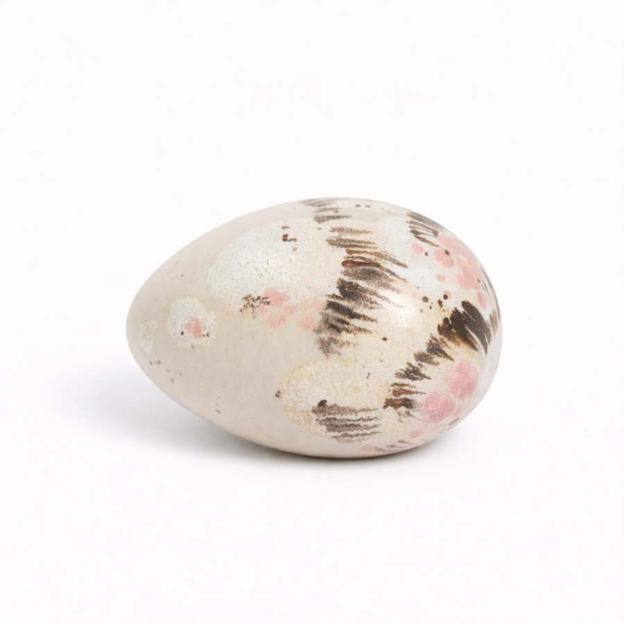 Paradisverkstaden - Ägg Mini Fjäder Havre/Rosa