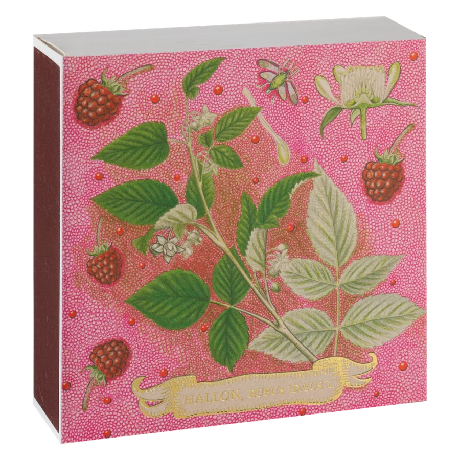 Archivist Gallery - Tändsticksask Rose Framboise