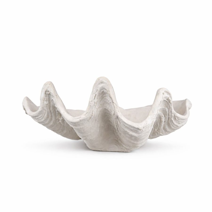 Palawan Clam Shell L