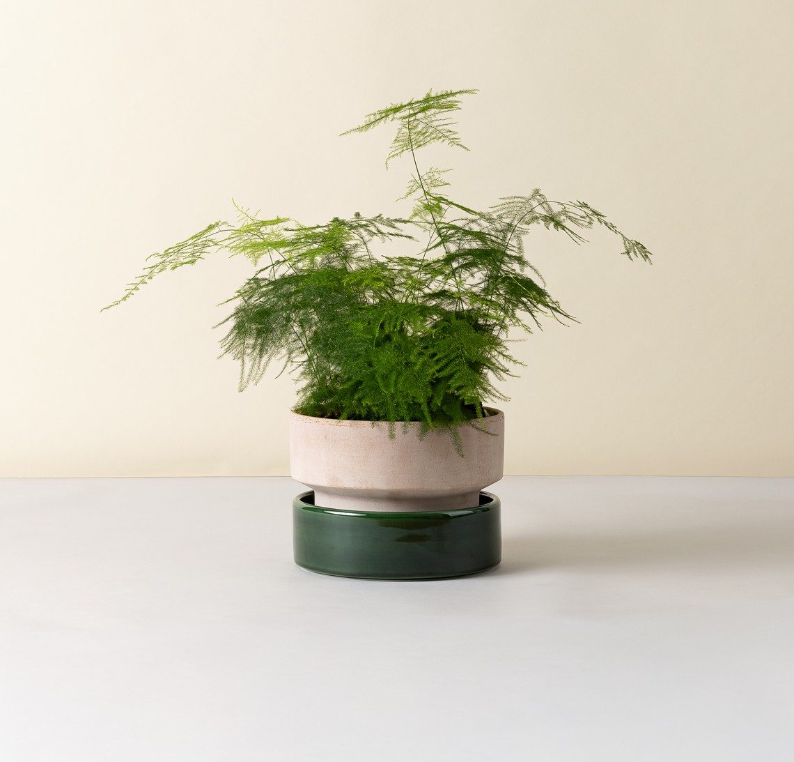 Bergs Potter - Kruka Hoff Low 25 Rosa/Emerald Green - Bild 2