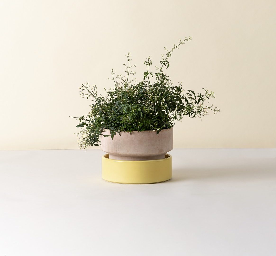 Bergs Potter - Kruka Hoff Low 25 Rosa/Pale Yellow - Bild 2