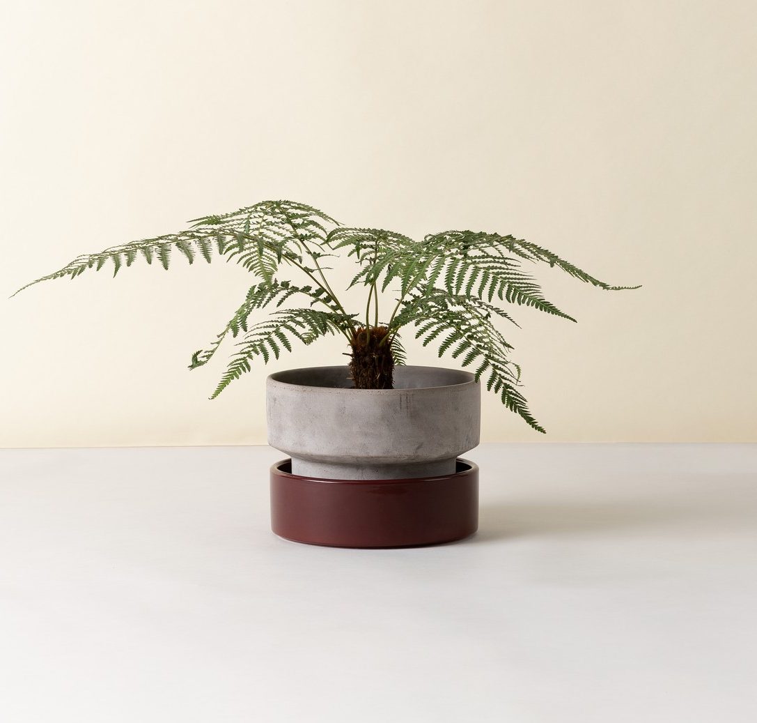 Bergs Potter - Kruka Hoff Low 25 Grå/Deep Burgundy - Bild 2