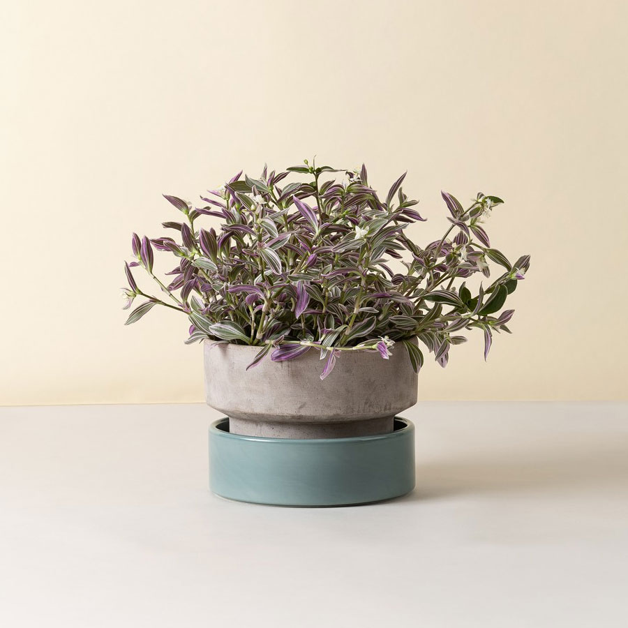 Bergs Potter - Kruka Hoff Low 25 Grå/Misty Blue - Bild 2