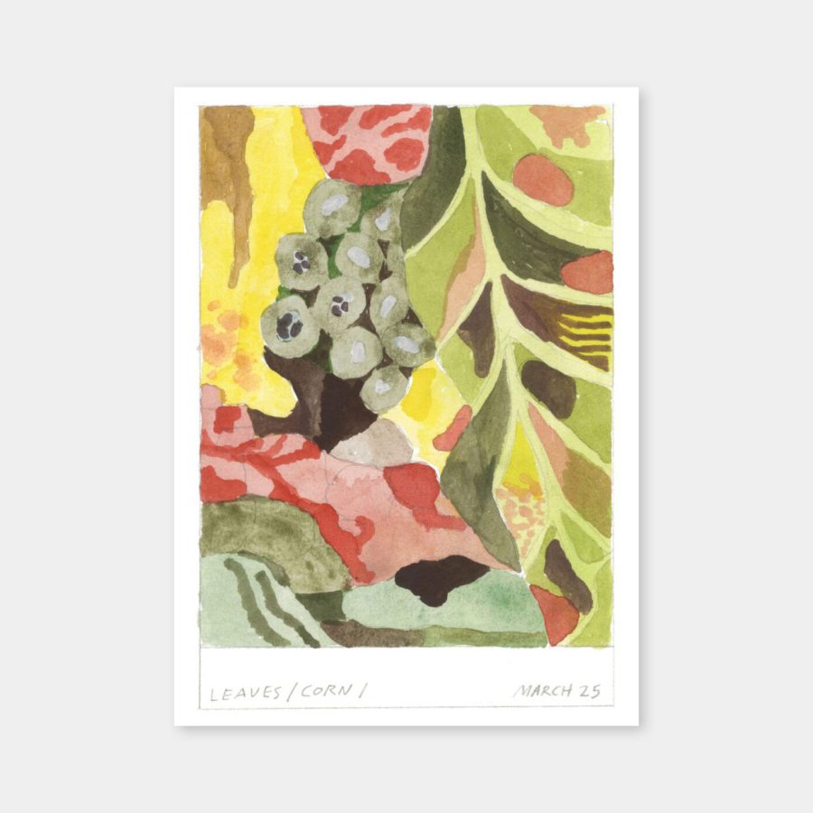T.P.C. - Cristóbal Schmal, Plant Fiction 50x70