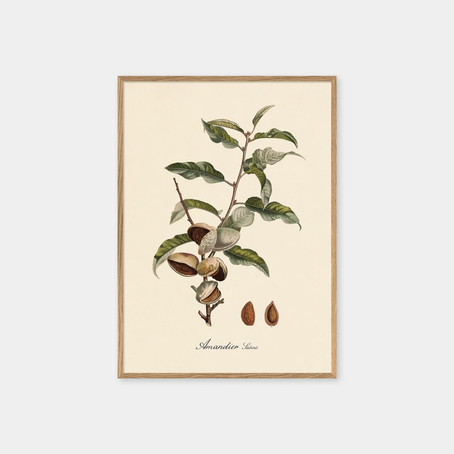 The Dybdahl Co – Amandier Satiné 15 x 21 cm med ekram