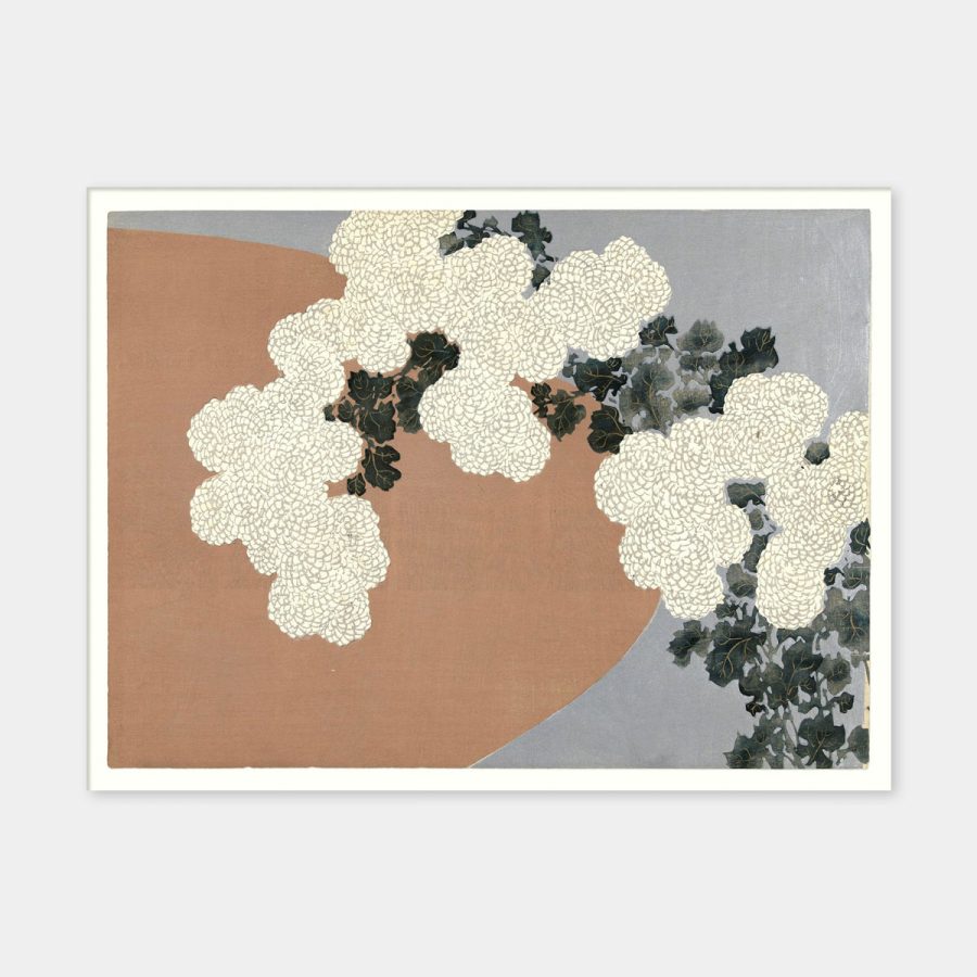 The Dybdahl Co – Chrysantemum 70 x 100 cm