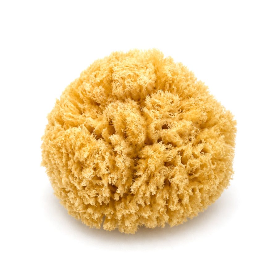 Croll & Denecke - Natursvamp 15 cm