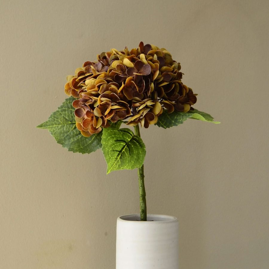 Aura - Hortensia Brun