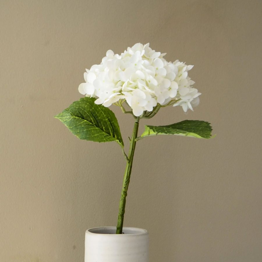 Aura - Hortensia Vit