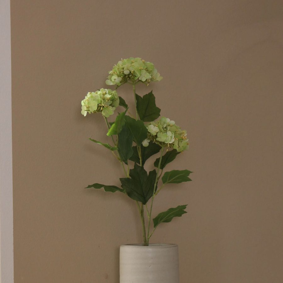 Aura - Snowball Hortensia Ljusgrön