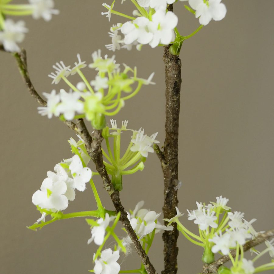 Aura - Snow Willow